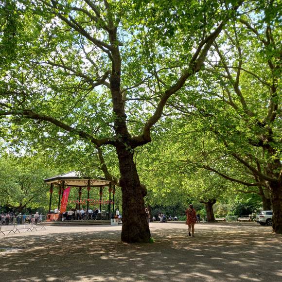 Large plane trees and a bandstand on the common