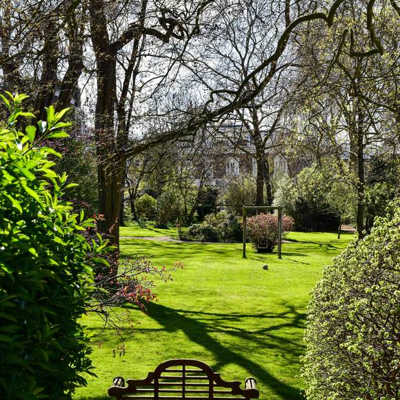 Wooden bench facing a sunlit lawn framed by shrubs