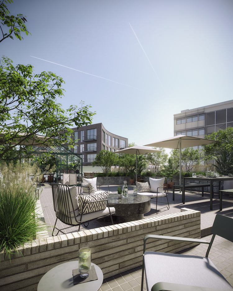The Terrace